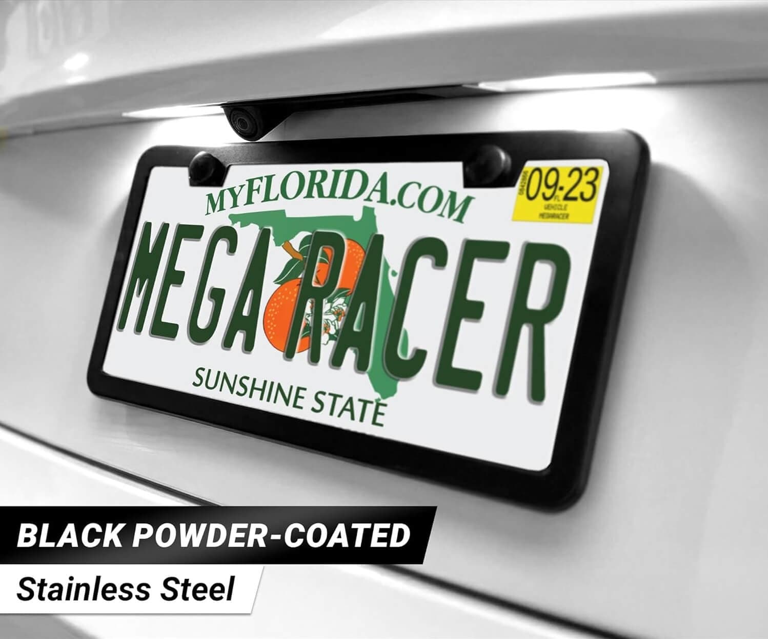 License Plate Frame